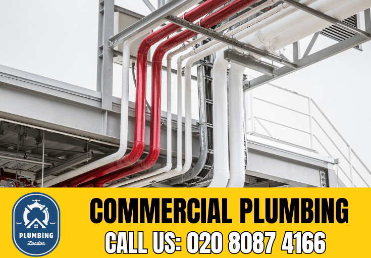 commercial plumbing Beckenham