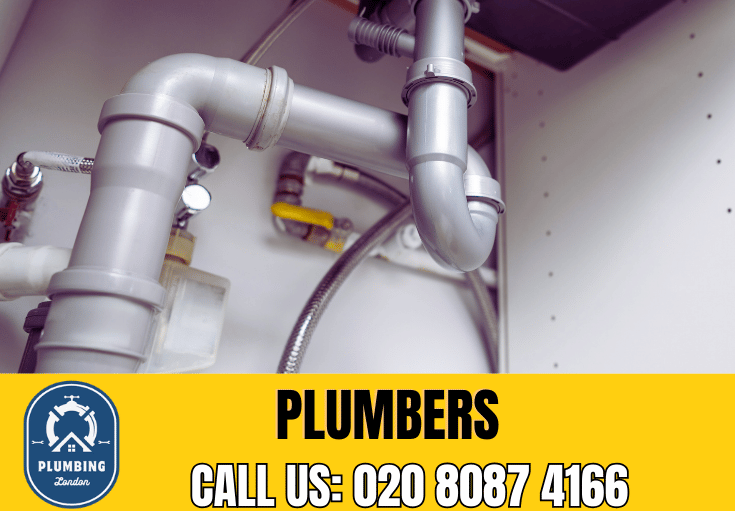  plumber Eden Park