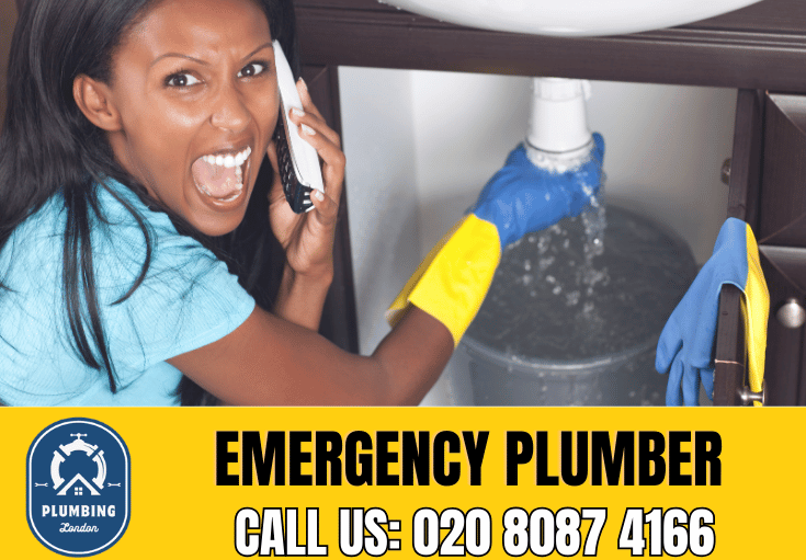 emergency plumber Beckenham