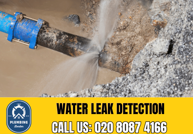 leak detection Beckenham